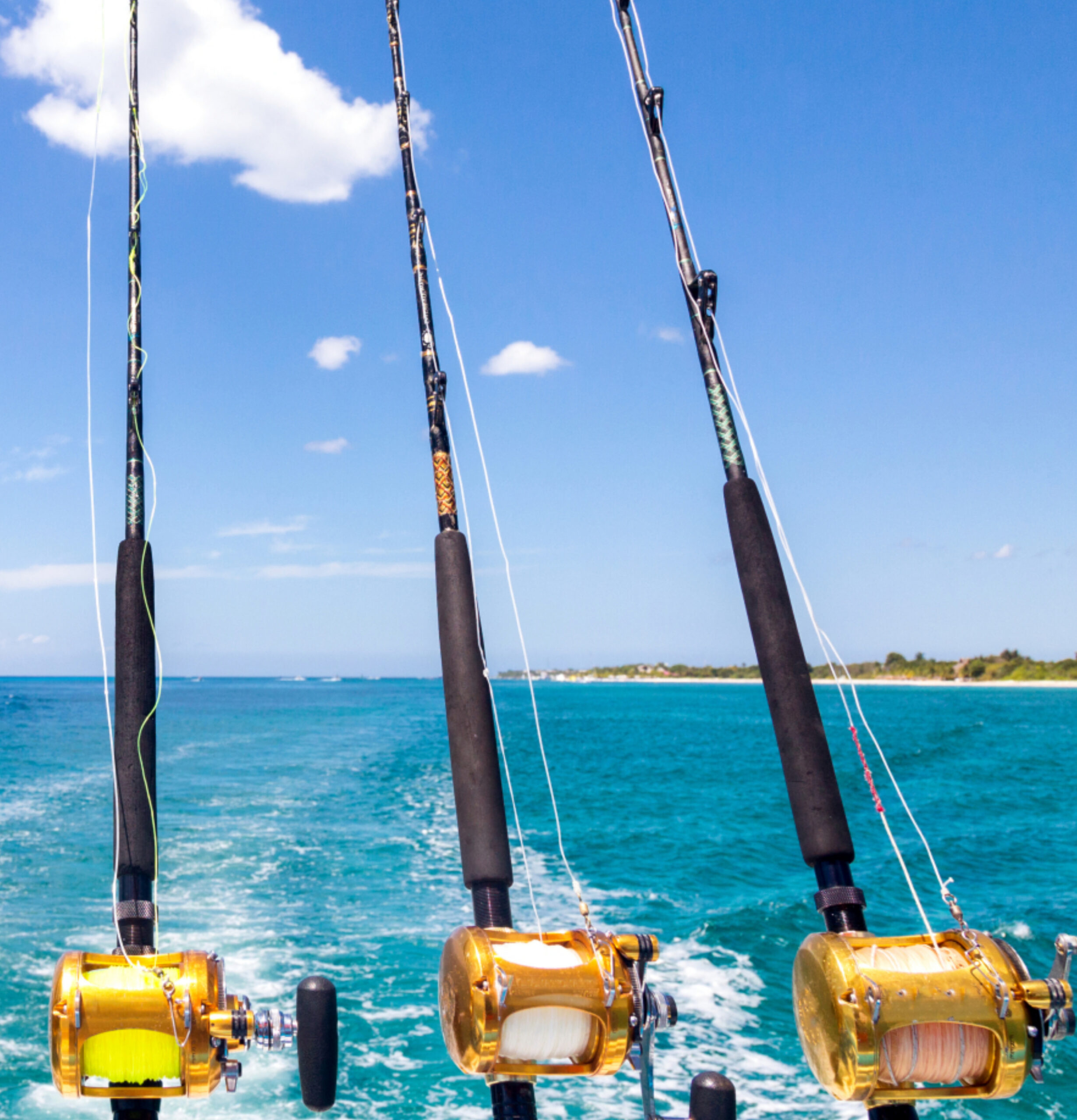 Discover the Best Rocky Point Mexico RV Parks The Reef RV Park